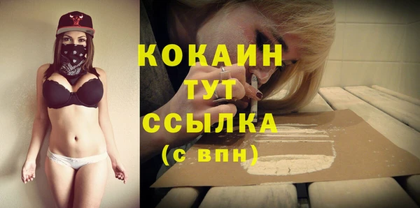 тгк Абаза