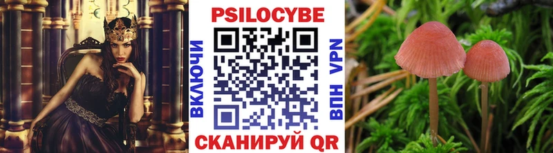 Галлюциногенные грибы прущие грибы  как найти закладки  Комсомольск-на-Амуре 